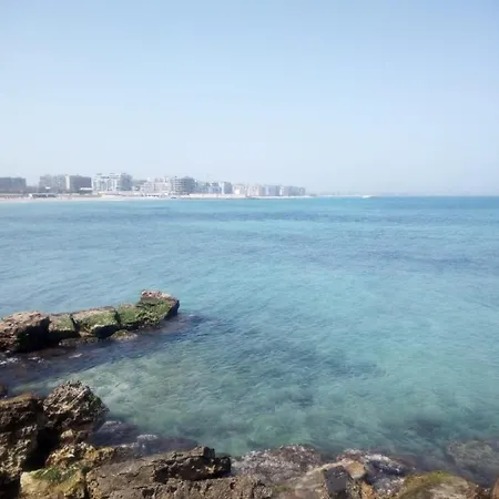 Pharos Bari